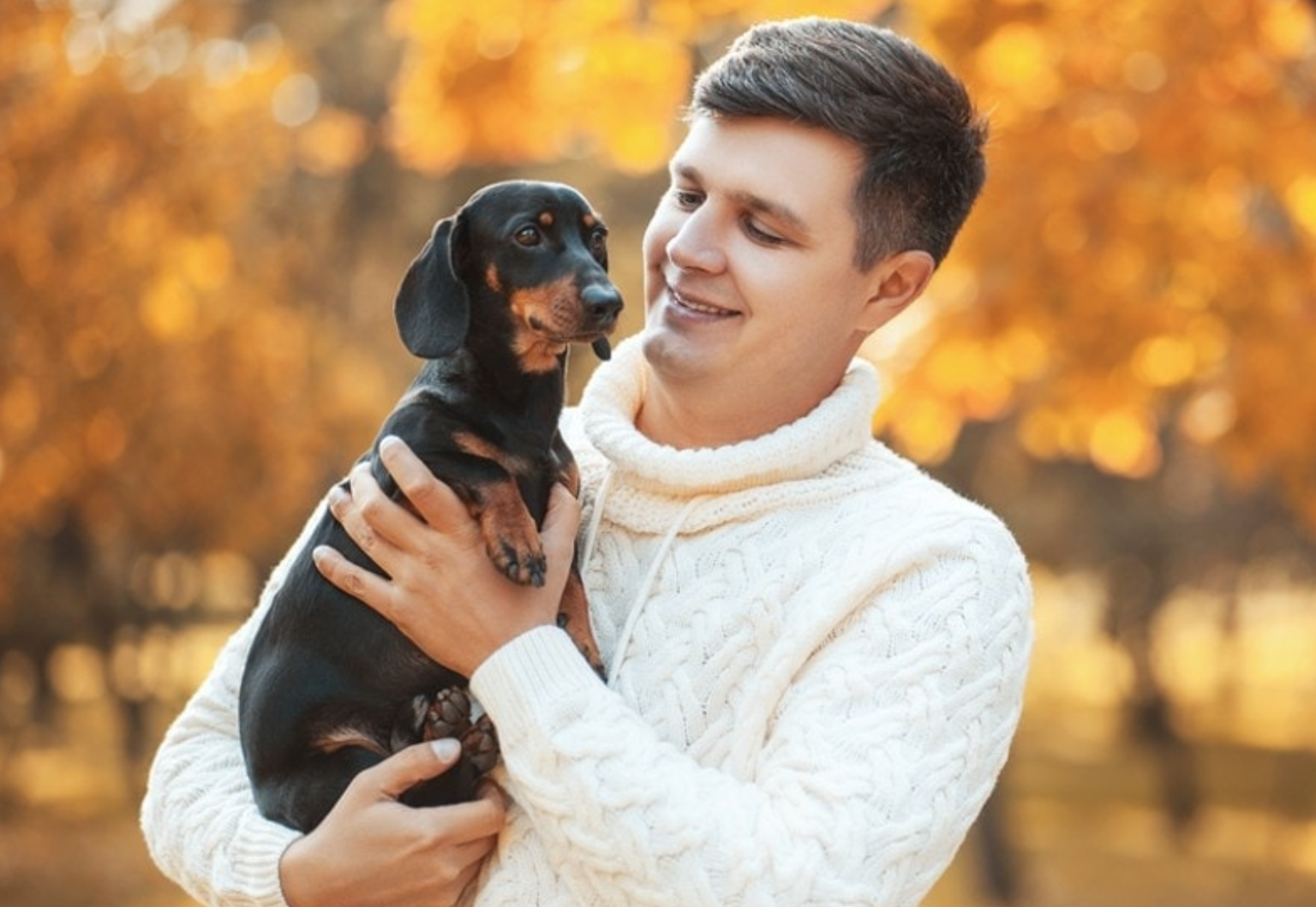 How to Safely Pick Up and Hold a Dachshund (Sausage Dog)
