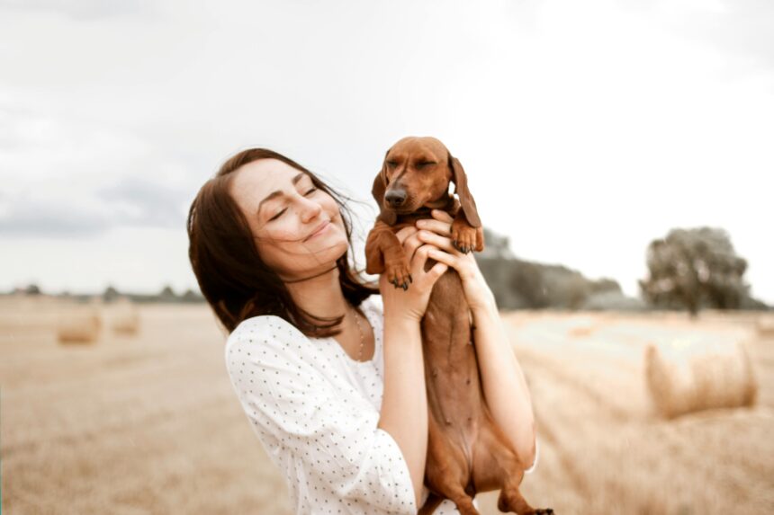 How Far Can Dachshunds Smell? 